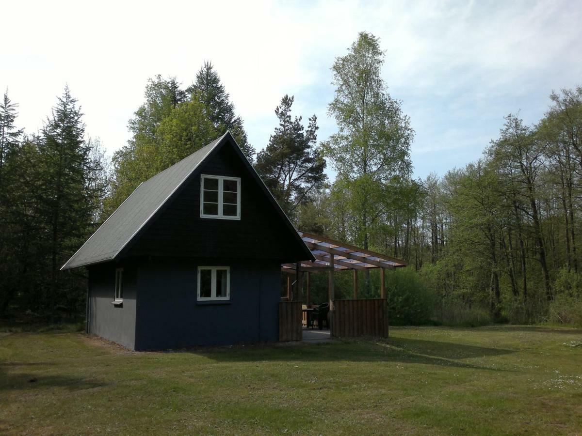 Nix at Gammel Rye Villa Ry Eksteriør bilde